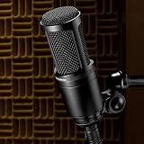Audio-Technica AT2020 Cardioid Condenser Microphone Black view 5