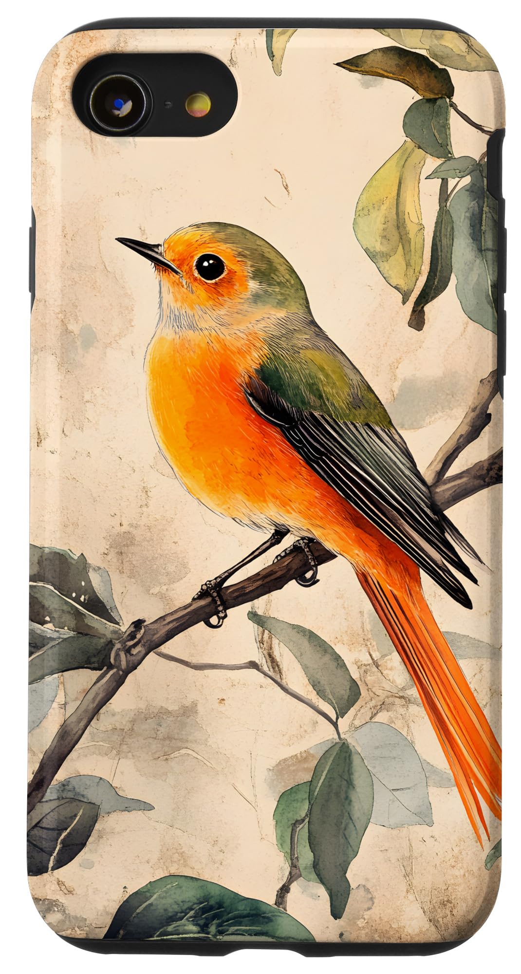 Bird | Beautiful Bird Lover Case for iPhone SE (2020) / 7 / 8