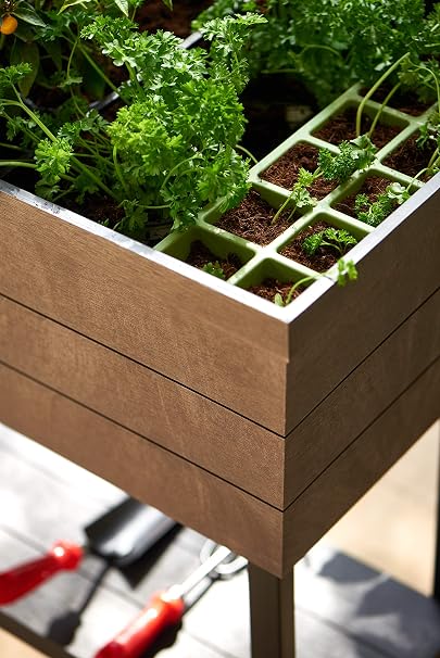 Keter - Mini huerto en casa Urban Bloomer con base para cultivo ...