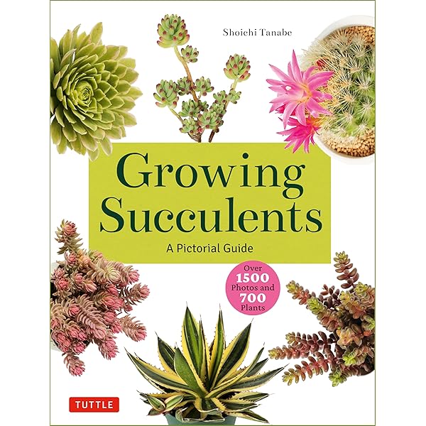 趣味・スポーツ・実用 SUCCULENTS: THE ILLUSTRATED DICTIONARY Amazon | Succulents: The Illustrated Dictionary | Sajeva, Maurizio