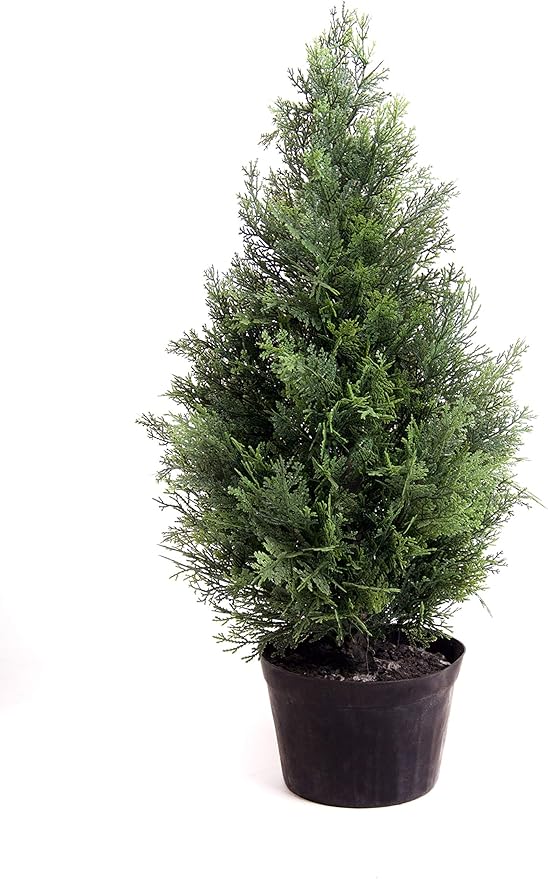 Best Artificial Potted Cedar Pine Cypress Conifer Tree (2ft) Amazon.co.uk Garden & Outdoors