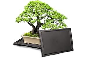 KEOHOLI 2 Packs Bonsai Humidity Plant Tray Drip Trays, Square Plastic Pot Saucer Draining Tray for Indoors Outdoors for Cactus, Succulents, Bonsai Tree, Stone to Drain, Protect, Decorate(11.4*8.4Inch)