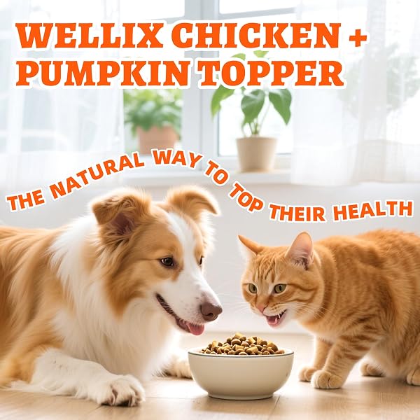 WELLIX CHICKEN & PUMPKIN RAW TREAT – FREEZE DRIED CHICKEN SNACKS, PET FOOD TOPPER, GRAIN FREE, CRUNCHY CAT TREATS FOR INDOOR CATS – FOR SMALL, MEDIUM & LARGE CATS & DOGS – 4.59 OZ