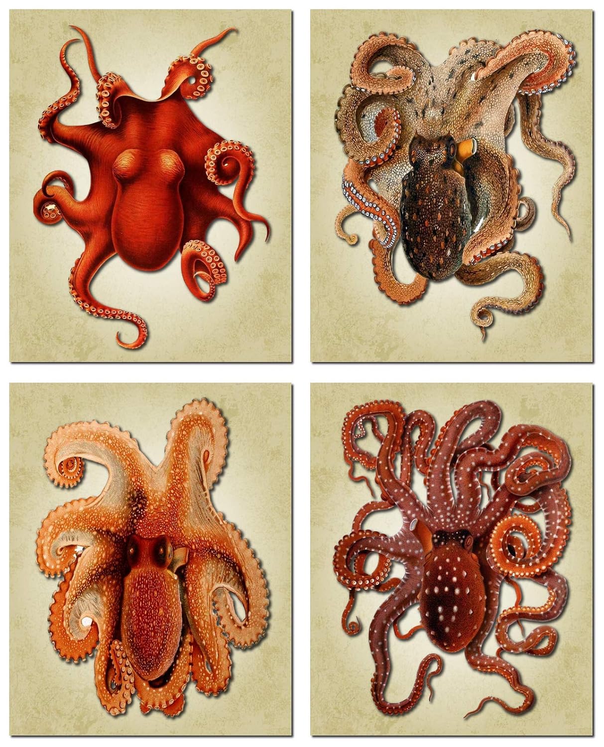 Octopus Art - Vintage Water Color Octopus Wall Art Prints - Nautical Bathroom Decor - Steampunk Art Octopus Poster Gift - 8 x10 Unframed…