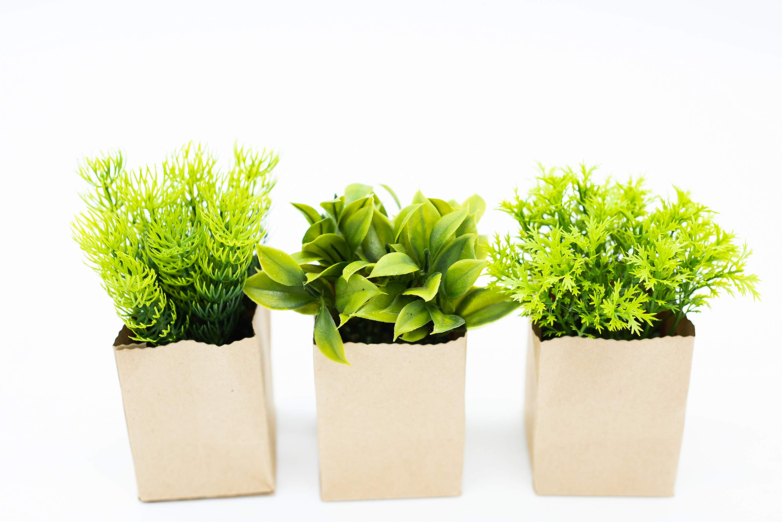 HEITMANN DECO Artificial Plant, Green/Brown, Set of 3, 10 x 10 x 15 cm
