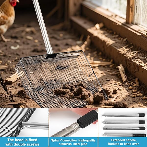 EVDKC 15″ LARGE CHICKEN COOP SCOOPER FOR SAND – HEAVY DUTY STAINLESS STEEL POOP SCOOPER WITH 38-64″ TELESCOPING HANDLE – ADJUSTABLE POULTRY MANURE RAKE & SIFTER SHOVEL FOR EASY CLEANING