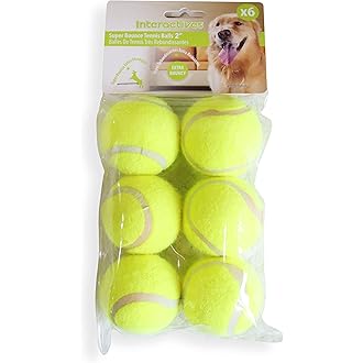 self loading dog ball thrower