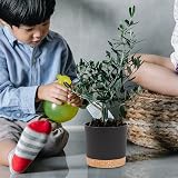 QCQHDU Plant Pot 25.4cm 2 Pack Indoor Outdoor with Drainage Hole Tray Dark Grey view 6
