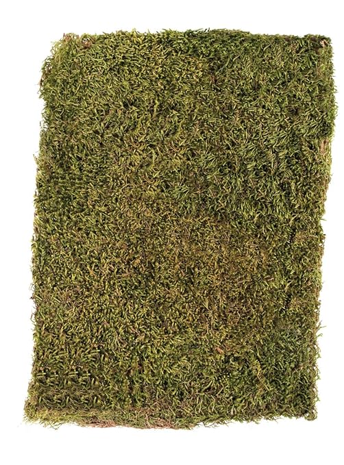 Rayher Plattenmoos, getrocknet, Beutel 100g, Moos, grün/braun, 29 x 23 x 5 cm