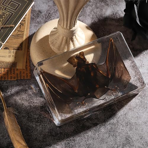 Real Taxidermy Bat Specimen In Resin - 3x3x1 Inch Science Education Display