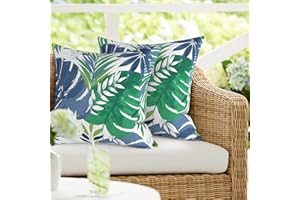 DYTXIII Pack of 2 Outdoor Waterproof Pillow Covers ONLY, Square Decorative Double Printed Pillow Cases for Patio Couch Porch Chairs (18 x 18 in,Islamorada Blue Green)