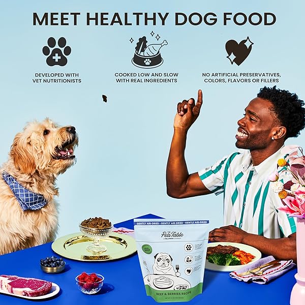 THE PETS TABLE BEEF & BERRIES GRAIN-FREE AIR DRIED DOG FOOD, 3LBS / 48 OZ BAG