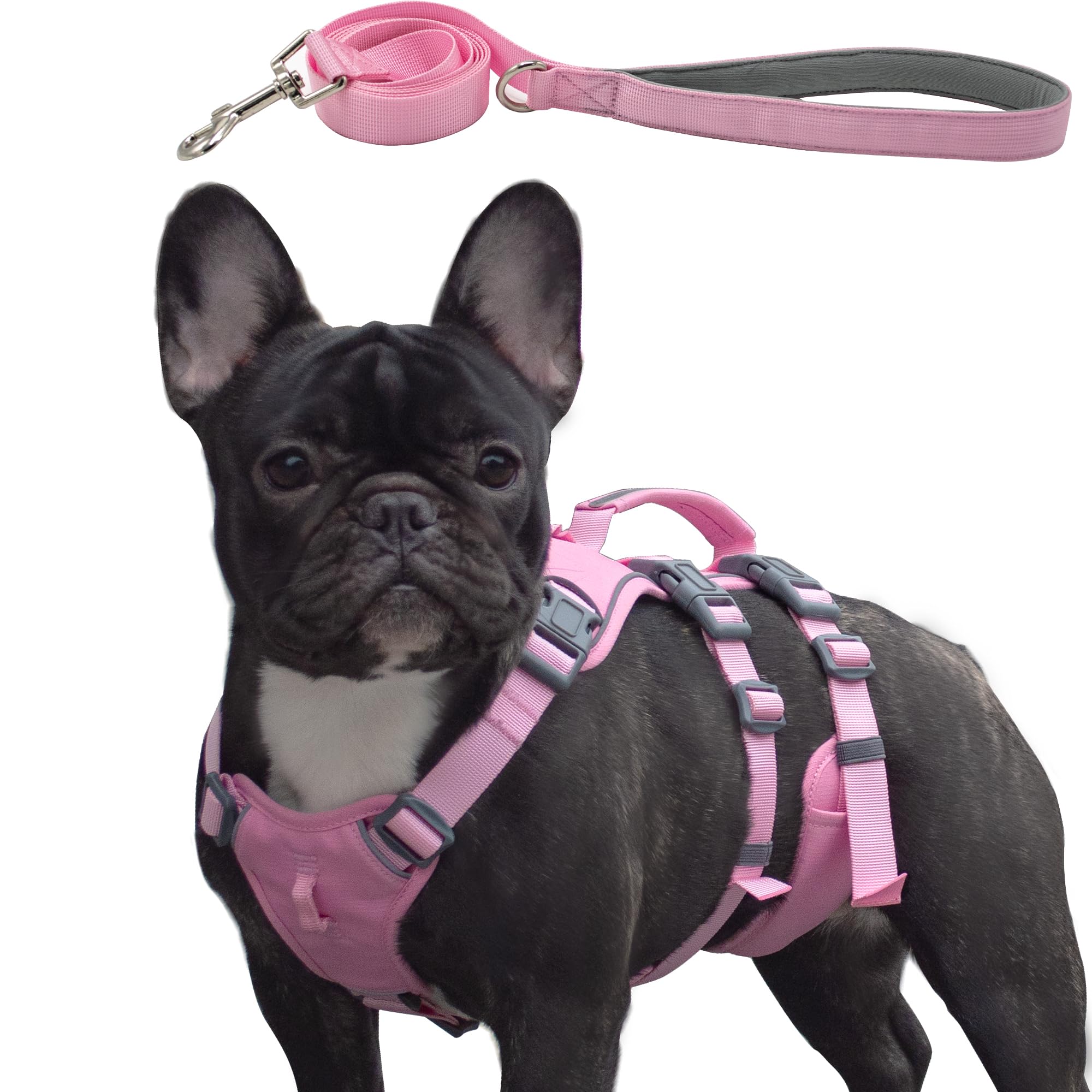 Wuffley Escape Proof Dog Harness and Leash Set, Lightweight Dog Harness with Lift and Assist Handle, No Pull Reflective Pet Vest for Small Medium Dogs, Ideal for Puppy Walking and Training (Pink, S)