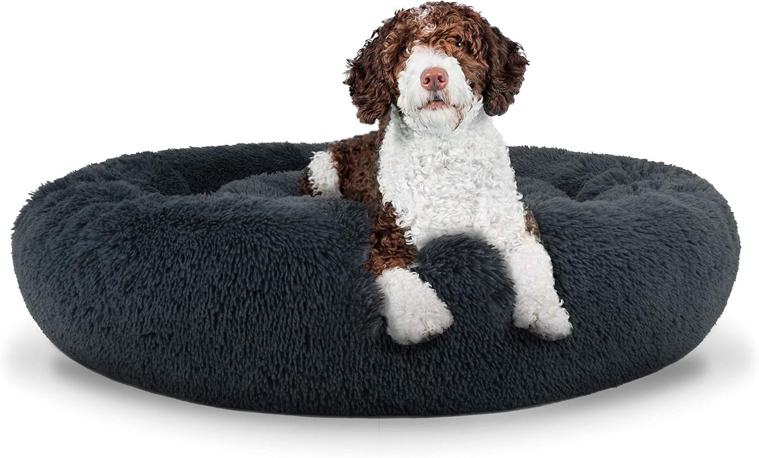 best dog beds for anxious dogs