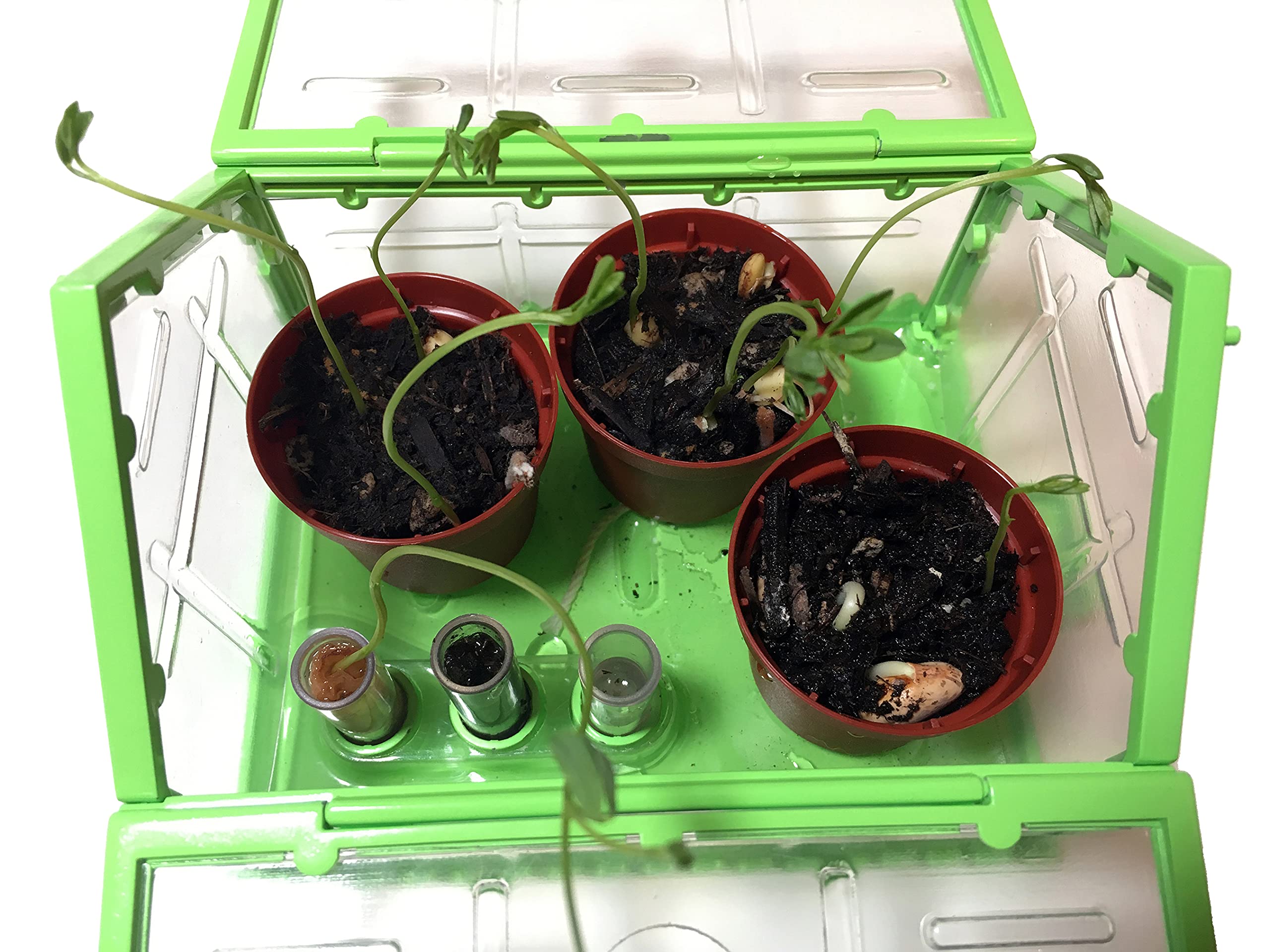 SmartLab Toys TINY Gardening with 20 Enormously Fun Growing Activities. Big Science. Tiny Tools.