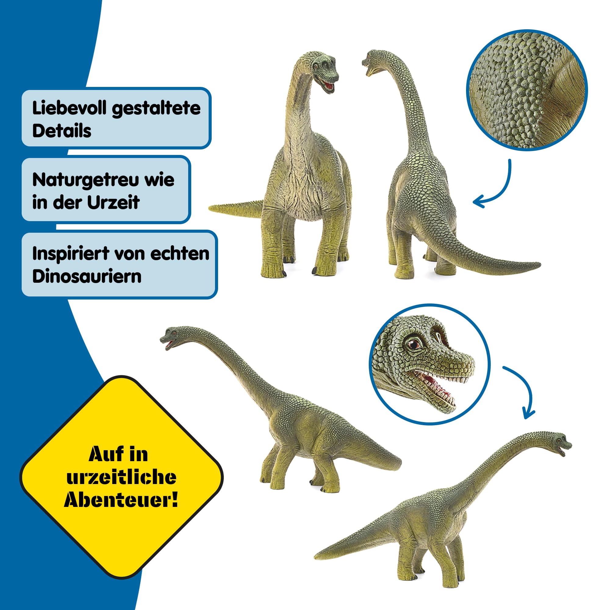 SCHLEICH Dinosaurs | Brachiosaurus 14581 | detailgetreuer Dino | Dino Spielzeug zum Sammeln | tolles Geschenk für Mädchen und Jungen Dinosaurier Spielzeug ab 3 Jahre | 30 x 12 x 19 cm 4