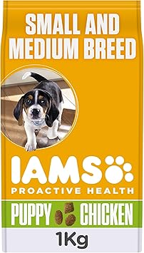 iams medium dog food