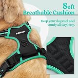 rabbitgoo Dog Harness Small No Pull Reflective Adjustable Vest Black Mintgreen view 3