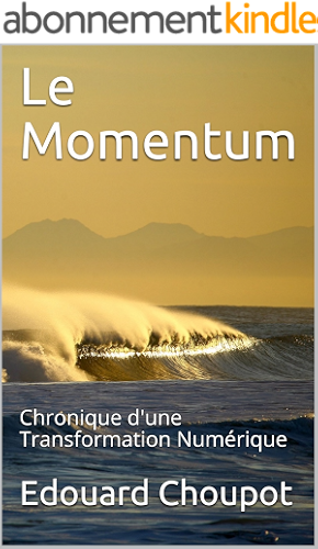 Download Le Momentum: Chronique d'une Transformation Numérique PDF