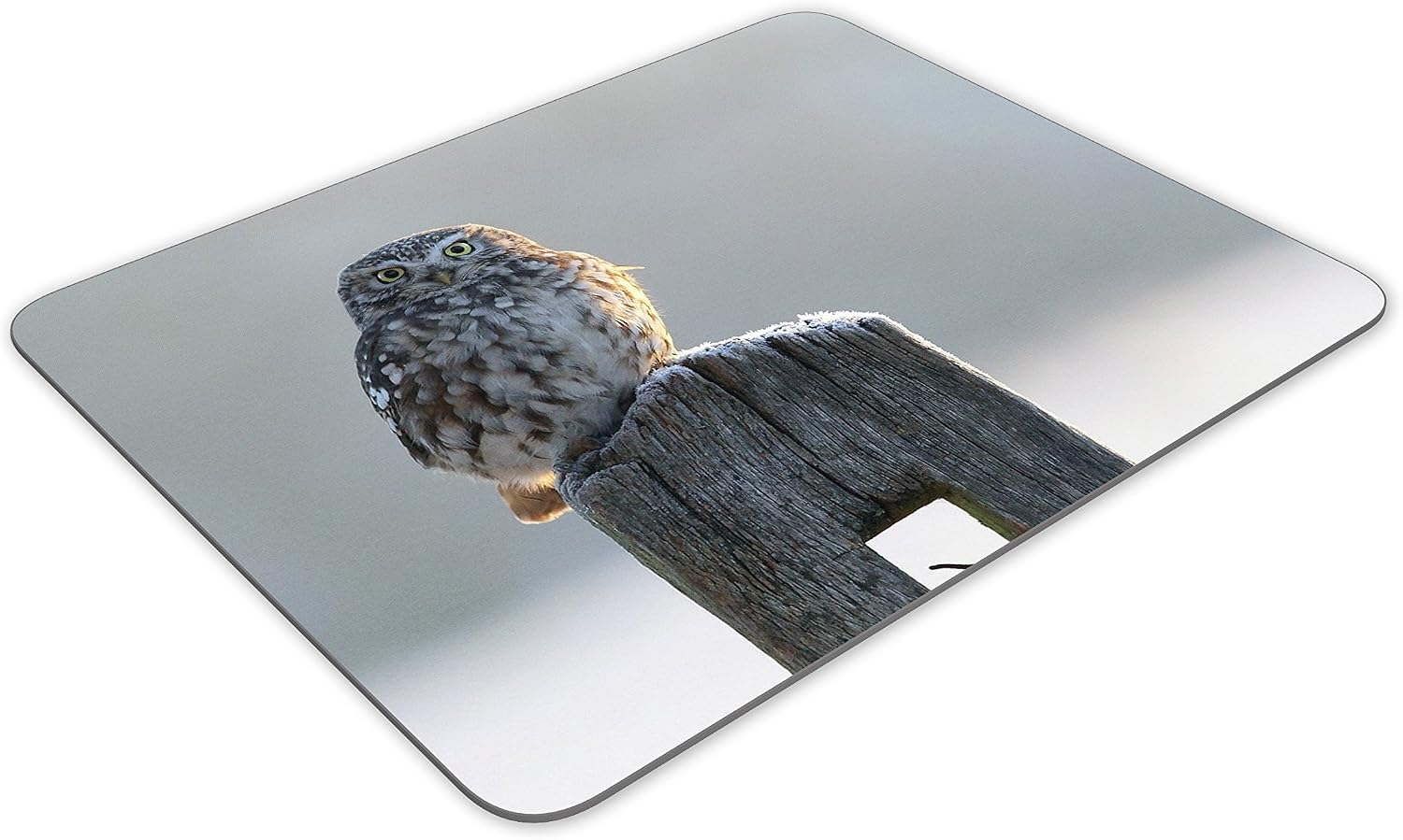 Destination Vinyl Ltd Beautiful Owl in Winter Mouse Mat Pad - Bird Birds Owls Mum Computer #8890, Multicolor, 23.5cm x 19.6cm x 5mm - Image 4