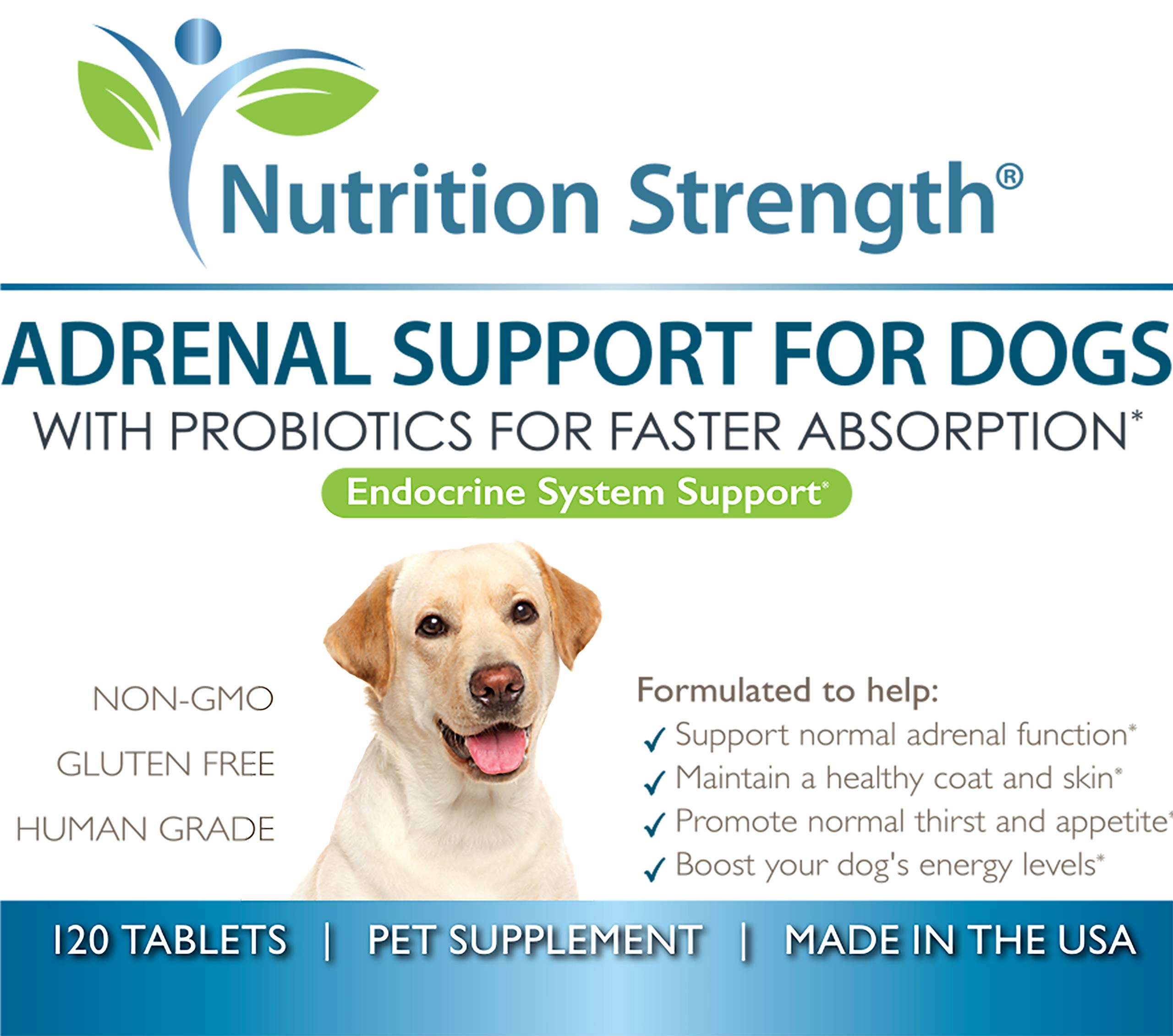 Mua Adrenal Support for Dogs, Support for Dogs with Cushing's Disease ...