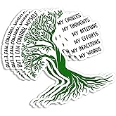 (3pcs) But I Can Control Myself My Choices Thoughts Attitude Efforts Reactions Words Sticker Funny Sayings Motivational Quotes Inspirational Vinyl Decal for Laptop Water Bottles Books Phone -Size 3x3