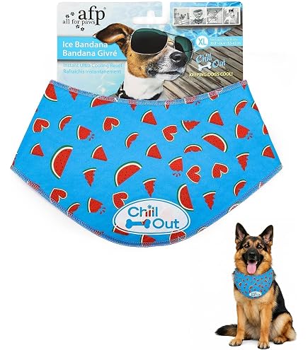 Amazon.com : ALL FOR PAWS Dog Cooling Bandana, Cooling Bandanas