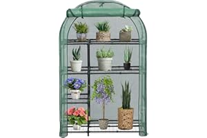 MeetLeisure 4-Tier Mini Greenhouse 62" x 39" x 17" for Indoor Outdoor, Sturdy Portable Growing Rack Green House for Plants Seedlings Herbs Flowers, Small Greenhouse for Outdoors Winter, Green