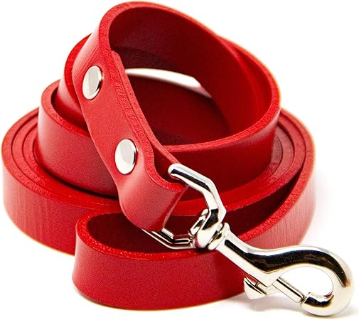 logical leather dog leash