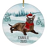 Santa Hat and Scarf Welcome Winter Chocolate