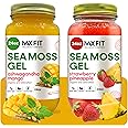 Sea Moss Gel Organic Raw (Bundle of 2 jars 24oz) Ashwagandha Mango and Strawberry Pineapple Wildсrafted Gold Sea Moss Gel | 92 Vitamins and Minerals | Pure Raw+Non-GMO | Vegan Superfood