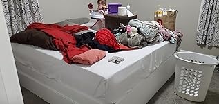 Review Image by Saul Cardenas Saul Cardenas