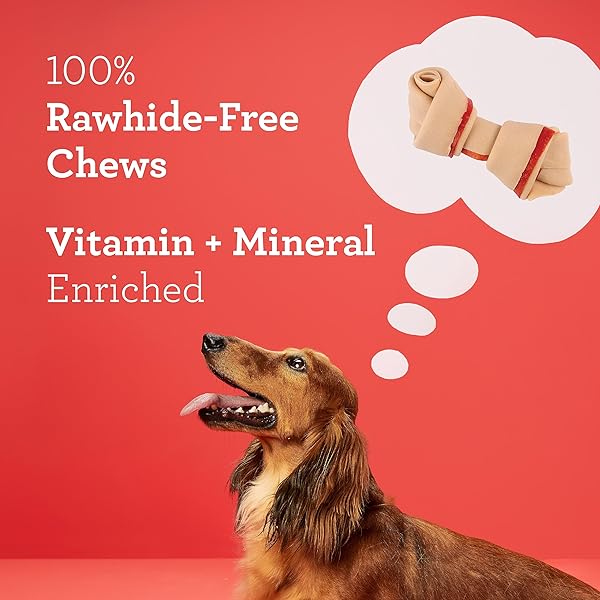 DREAMBONE MINI CHEWS, MADE WITH REAL CHICKEN, RAWHIDE FREE CHEWS FOR DOGS, 24 COUNT