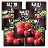 Survival Garden Seeds - Champion Radish Seed for