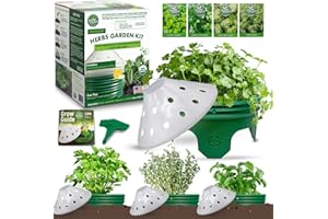 ROOTED PROMISE 4 Herb Garden Kit with Grow Rings and Greenhouse Germination Domes – Certified Organic Herb Planter Kit – Gardening Gift for Mom, Teachers, Women, and Men – Made in USA