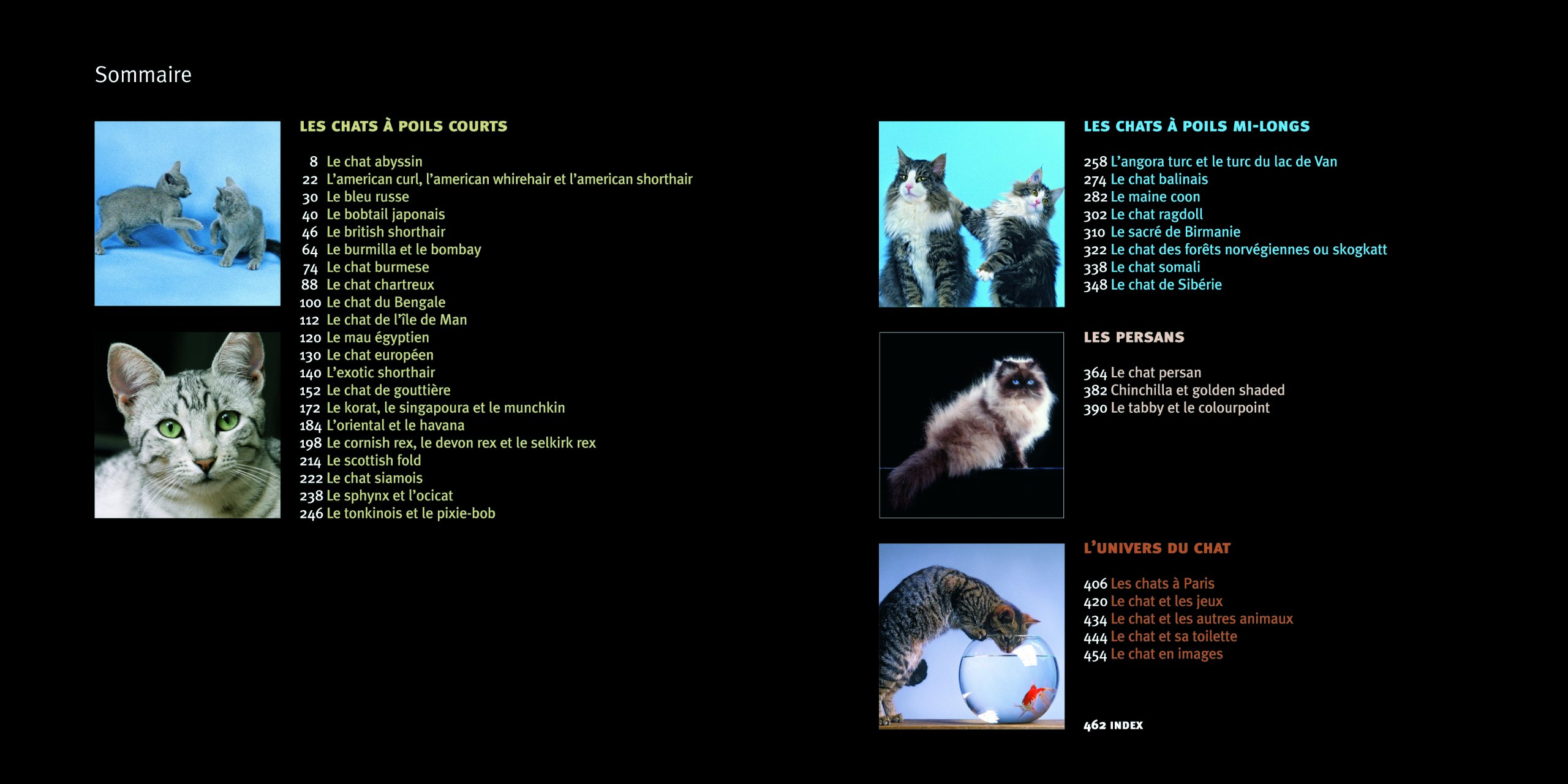 Les Chats En 1001 Photos Ne French Edition Collectif Amazon Com Books Les Chats En 1001 Photos Ne French Edition Collectif Amazon Com Books