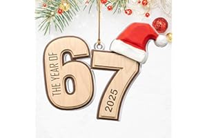 ZIPZINO 67 Christmas Ornament 2025 – Funny 6 7 Ornament Christmas, 67 Ornaments Funny Santa Gifts, Trendy Gifts for Teens 2025, Daughter Son Sister Coworker, Acrylic Gift 2025 Trendy Stuff