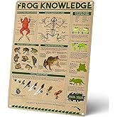 Homely Accents Frog Knowledge Metal Signs, Vintage Educational Poster Tin Signs for Kids Frog Lovers, Retro Farmhouse, Classroom, Office, Cafe Wall Art Decor 12x16 Inch