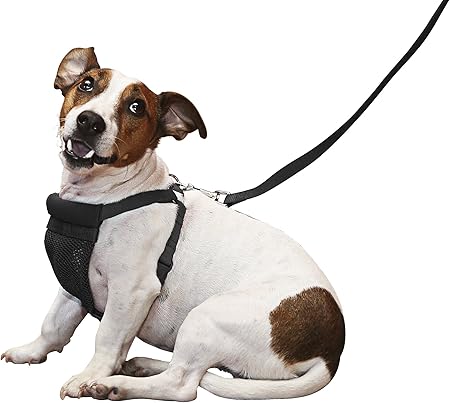 sporn comfort harness