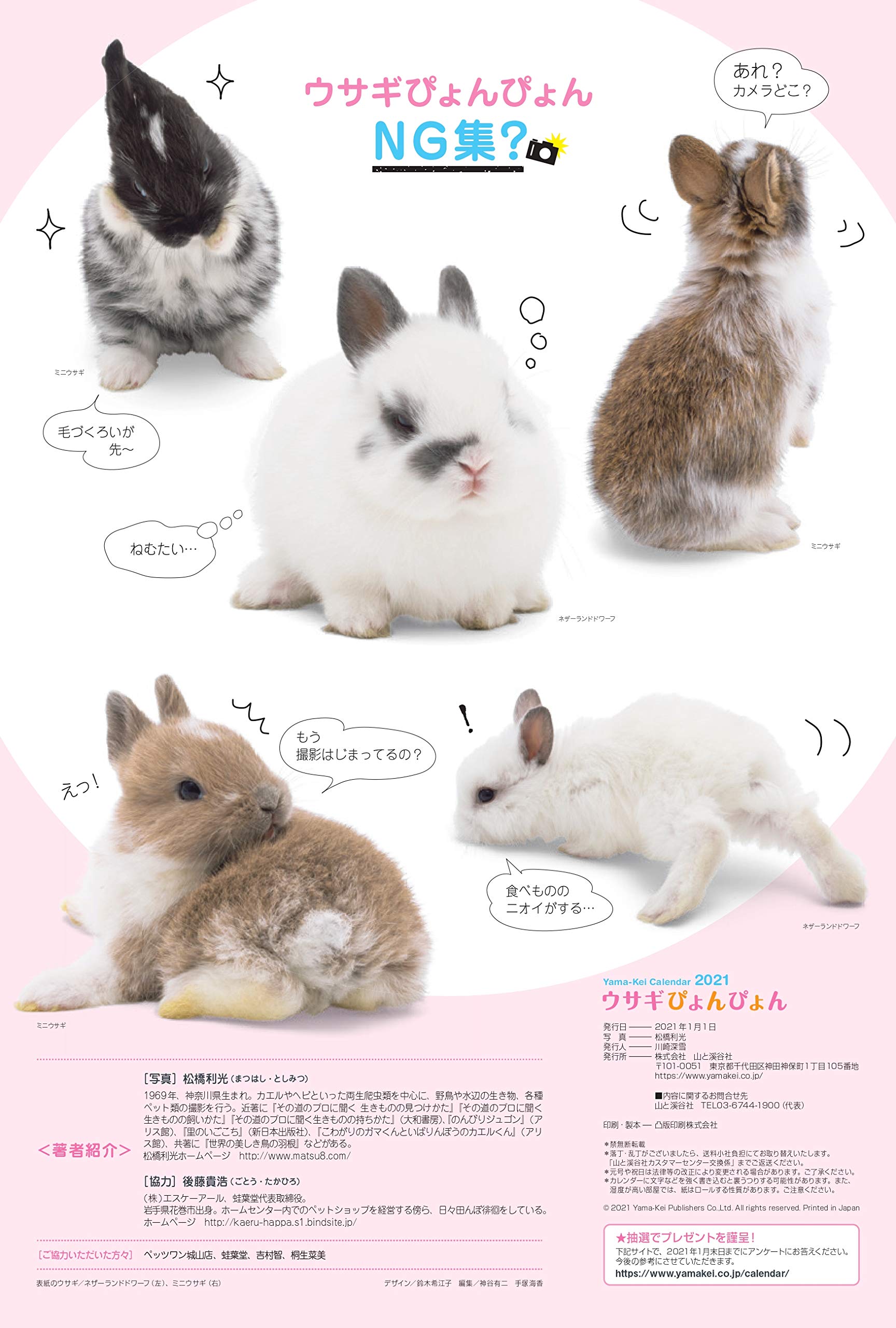 カレンダー21 ウサギぴょんぴょん 月めくり 壁掛け ヤマケイカレンダー21 松橋 利光 本 通販 Amazon