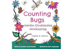 Counting Bugs / Aambe Gindaasaa Mnidooshag