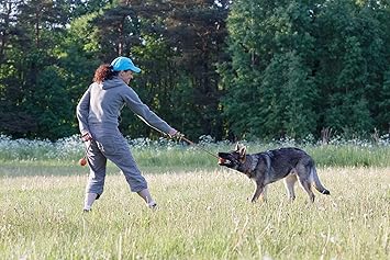 PlayfulSpirit Pelota de Goma con Cuerda – Juguete para perros ...