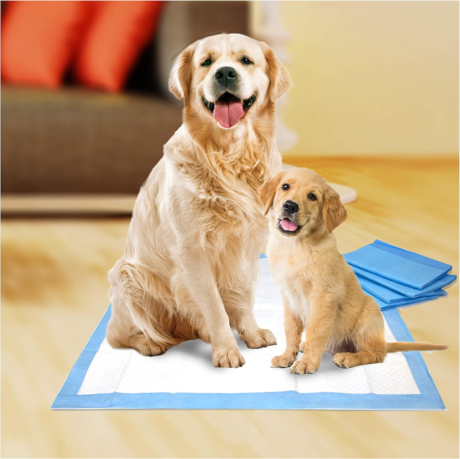 Wee-Wee Puppy Training Pee Pads 200-Count 22" x 23" Standard Size Pads for Dogs : Pet Supplies