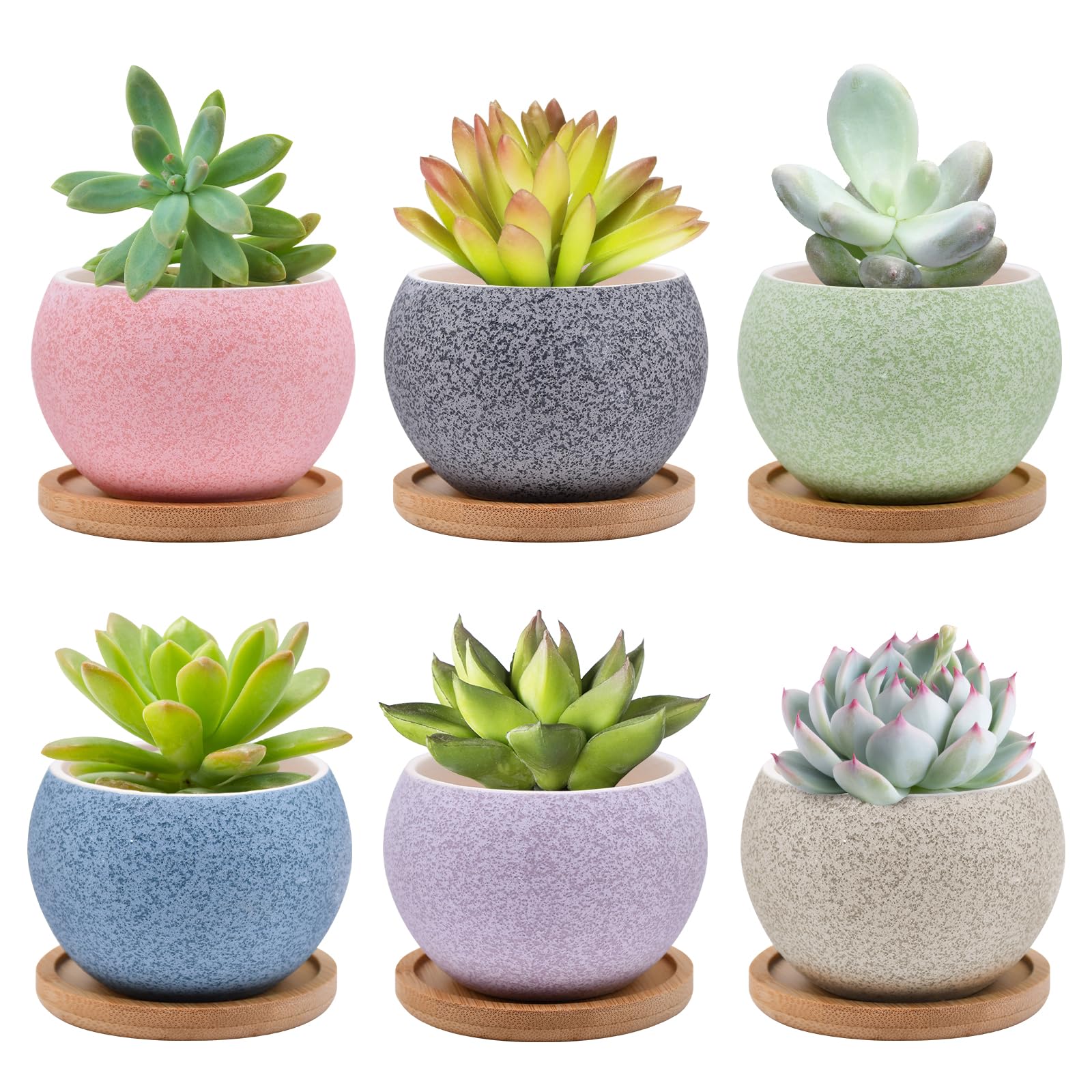 Photo 1 of 6 Pack Ceramic Succulent Pots with Drainage – Small Round Planters for Indoor Plants & Cactus, Mini Flower Pots with Bamboo Trays, Desk & Home Décor, Gift for Plant Lovers, Office, Balcony, Garden