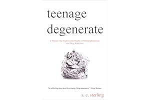 Teenage Degenerate: A Memoir that Explores the Depths of Methamphetamine and Drug Addiction
