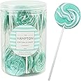 Aqua Light Blue Lollipops, 24 Pack, Blue Suckers, Blue Lollipops Individually Wrapped, Blue Lollipop Suckers Bulk, The Hampton Popcorn & Candy Company