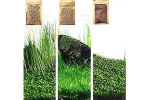 ZUQOVI 3 Aquarium Plants S.e.e.d Set, not Artifical, Fish Tank Decor Replacement for Resin or plastic Grass .(0.36oz Tiny+0.36oz Long+0.36oz Short) 42qwe, Green