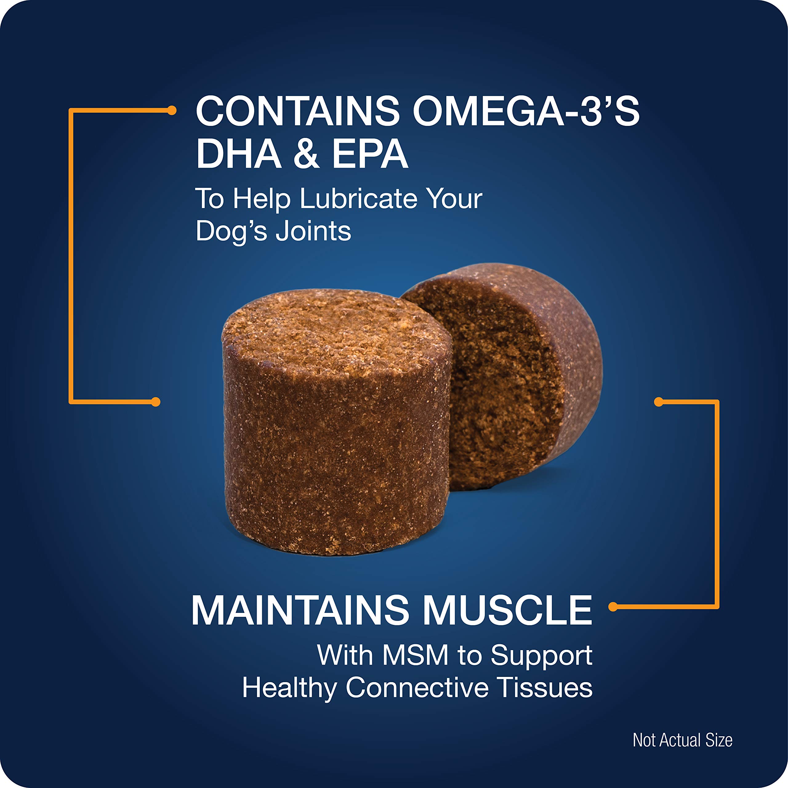 VetIQ Hip & Joint Supplement for Dogs, Anti Inflammatory Joint Support