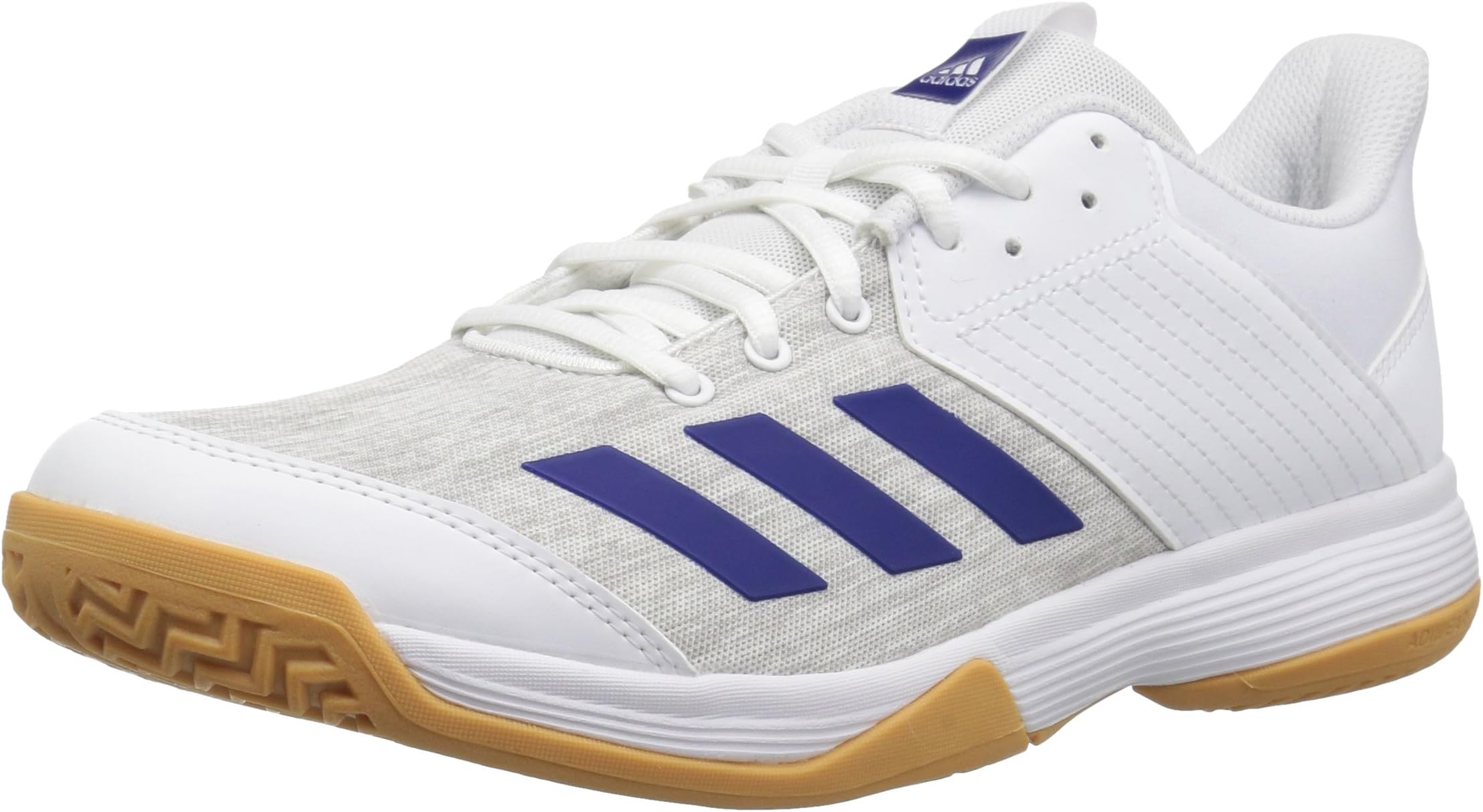 adidas Originals Men's Ligra 6 Volleyball Shoe