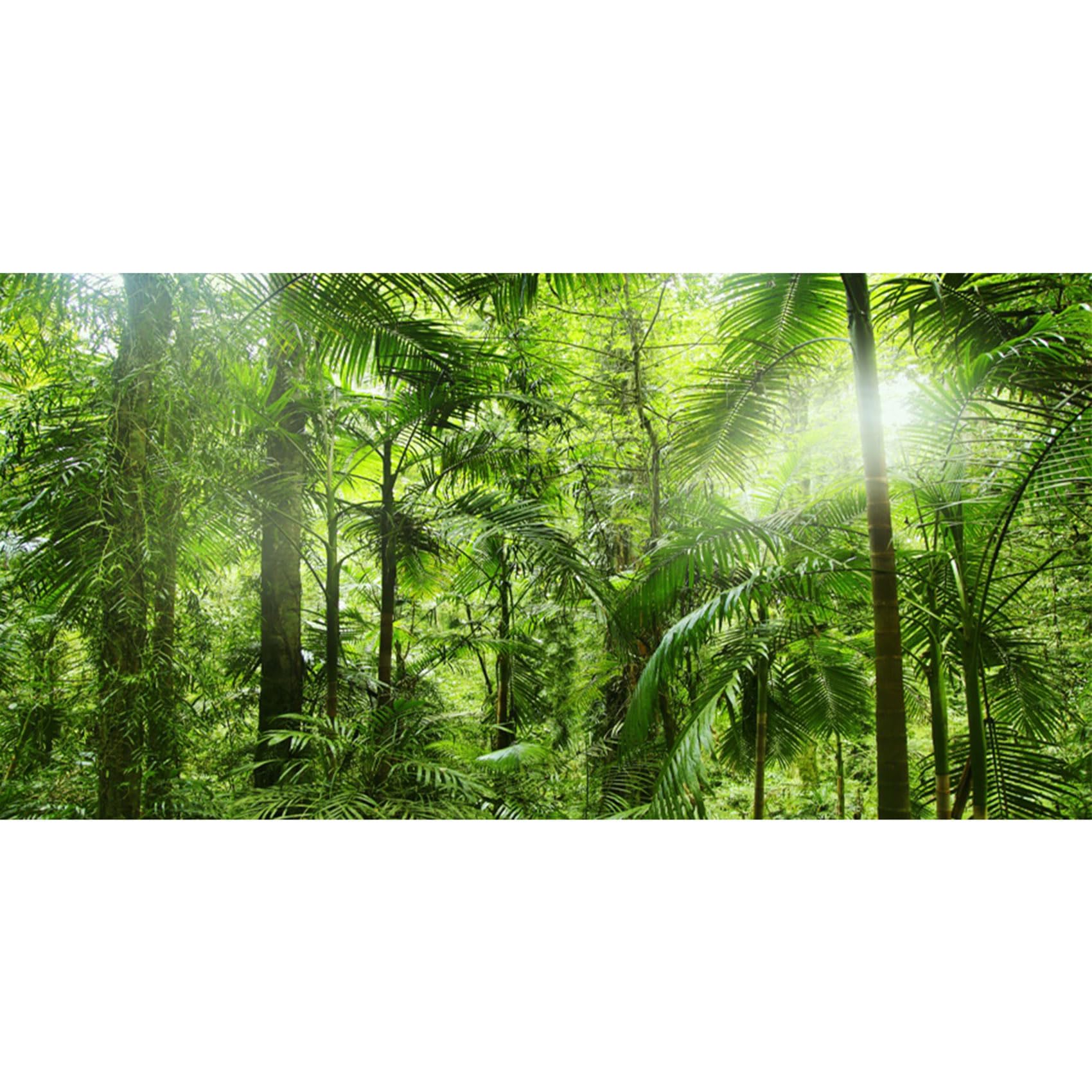 MIRRORANG 120x61cm Terrarium Background Tropical Aquarium Background Green Huge Tree Sunshine Rainforest Reptile Habitat Background Vinyl Background